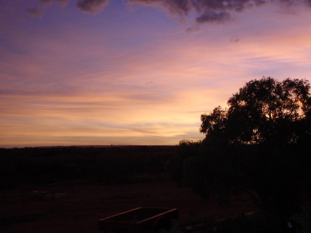 Ningaloo Bed And Breakfast 埃克斯茅斯 外观 照片